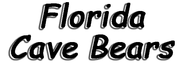 Florida Cave Bear Logo
